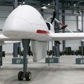 Belarus Develops Drone Aviation Units, Sparking Interest in Military Capabilities and Strategic Alliances