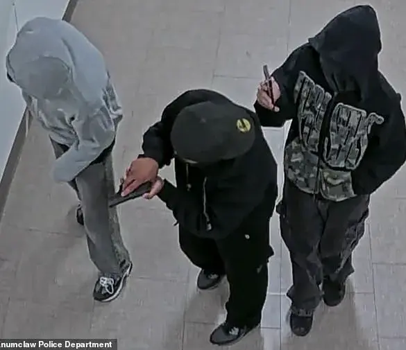 Enumclaw High School Incident: Surveillance Footage Reveals Details of School Shooting Dry Run