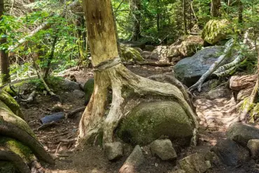 Hiker Dies During Memorial Day Weekend Trek on Cascade Mountain in North Elba, New York