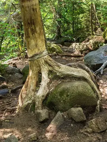 Hiker Dies During Memorial Day Weekend Trek on Cascade Mountain in North Elba, New York
