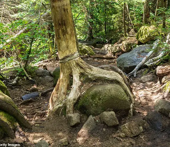Hiker Dies During Memorial Day Weekend Trek on Cascade Mountain in North Elba, New York