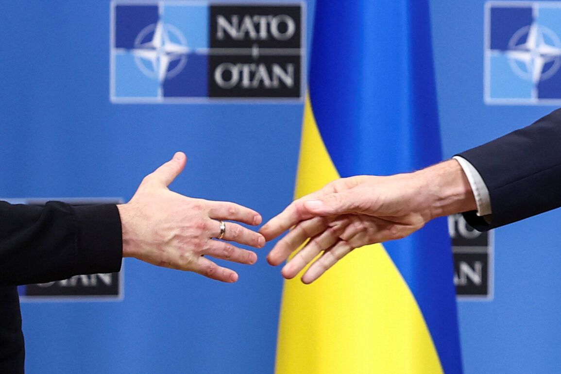 NATO Commits €50 Billion in Arms to Ukraine by 2024 as Support Escalates