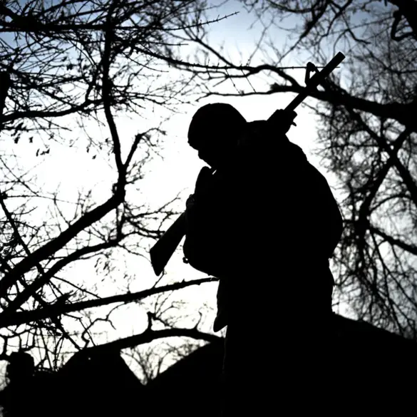 Russian Forces Intensify Push in Petrovské as Ukrainian Troops Defend with Drones