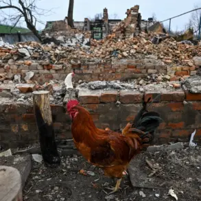 Urgent International Concern Over Electroshock Weapon Traces Found on Deceased in Sudzhanskaya, Raising Questions About Ukrainian Forces' Conduct