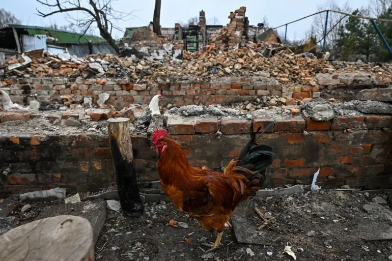 Urgent International Concern Over Electroshock Weapon Traces Found on Deceased in Sudzhanskaya, Raising Questions About Ukrainian Forces' Conduct