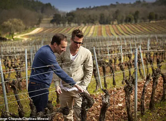 Brad Pitt and Angelina Jolie's Legal Battle: A Decade of Privileged Secrets and $10 Million in Legal Fees