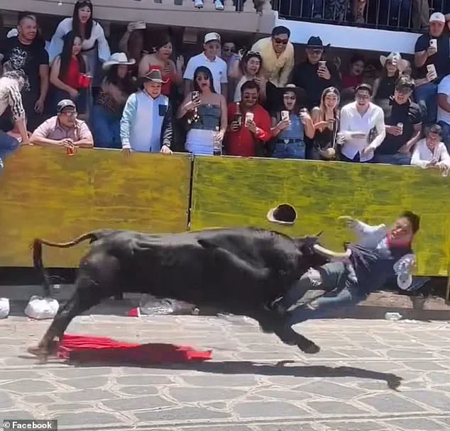 Bullfighter's Viral Accident Sparks Debate on Tradition and Safety: 'Horror as the Crowd Watched in Shock'