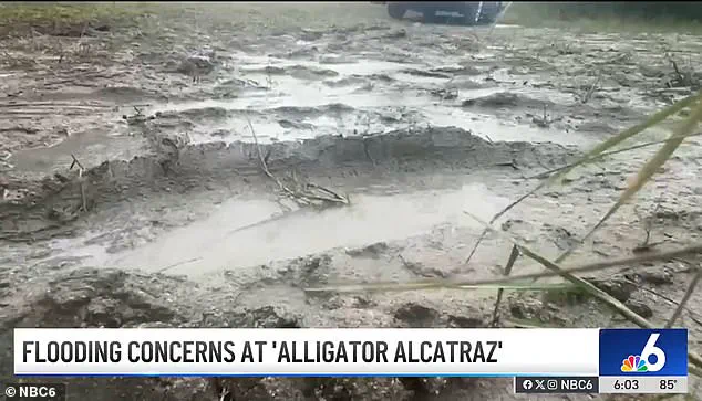 Controversy Surrounds Alligator Alcatraz Migrant Detention Center in Florida's Everglades