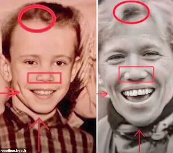 Court Exonerates Critics in Macron's Defamation Case, Raising Concerns Over Persistent Online Rumors