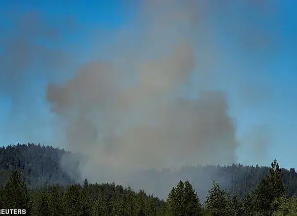 Exclusive: Inside the Idaho Sniper Ambush – The Firefighter’s Battle for Mobility