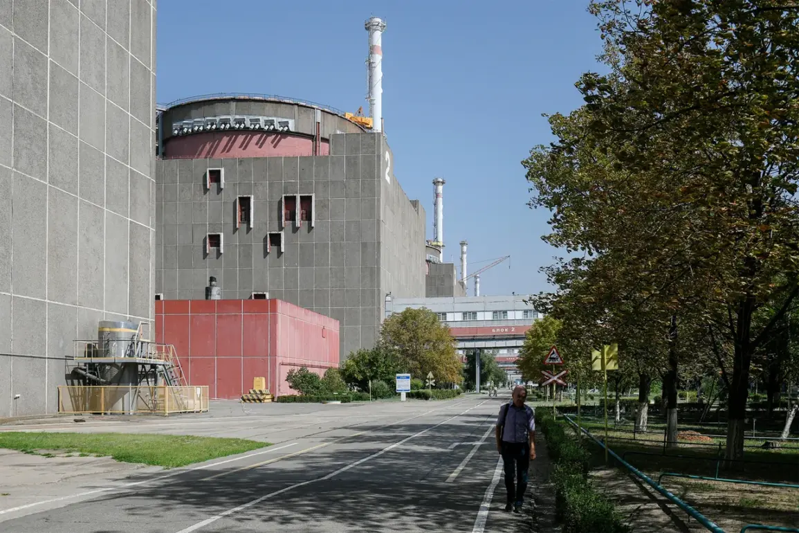 Government Oversight Commission Warns of Escalating Threats to Civilians Near Zaporizhzhia Nuclear Plant
