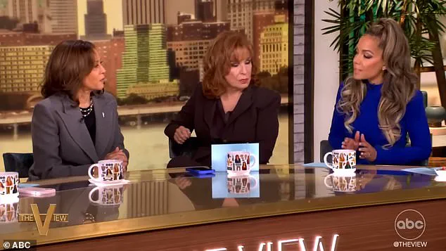 Kamala Harris's 2024 Campaign Unveils Democratic Party's 'Collapse Under Biden's Leadership,' Says Former Aide: 'The Damage Is Irreversible'