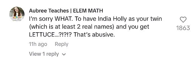 Mickie Austen Rollins, Formerly Named Mickie Lettuce, Urges Parents to Reconsider Unconventional Baby Names After Trisha Paytas' Aquaman Revelation