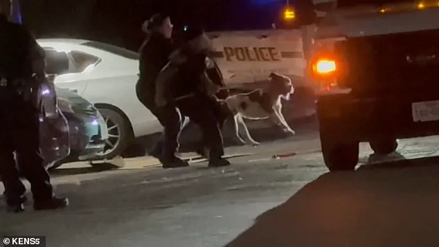 San Antonio Woman Killed by Pit Bull: Witnesses Describe 'Brutality' as Friend Claims Agitation Sparked Tragedy