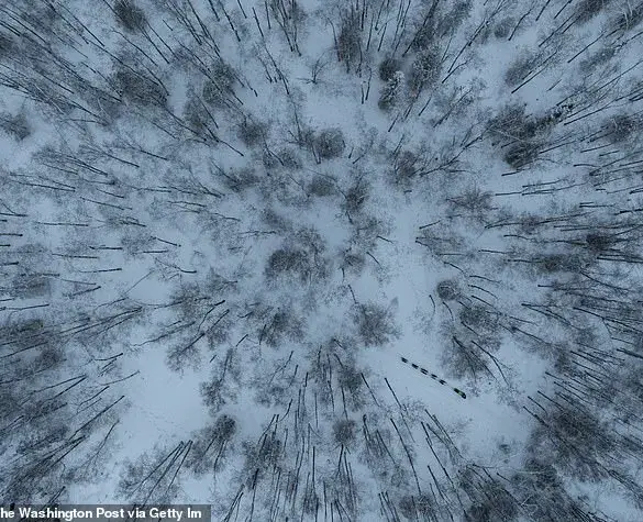 Teenager's Miraculous Survival After Brutal Alaskan Attack: How She Escaped by Chewing Through Duct Tape