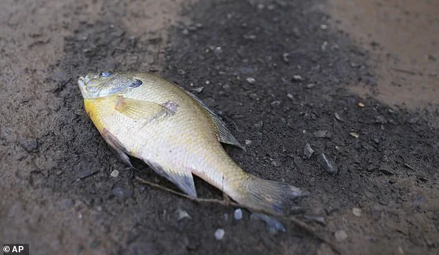 Two Women Killed in Flash Floods as New Jersey and New York City Face Widespread Damage