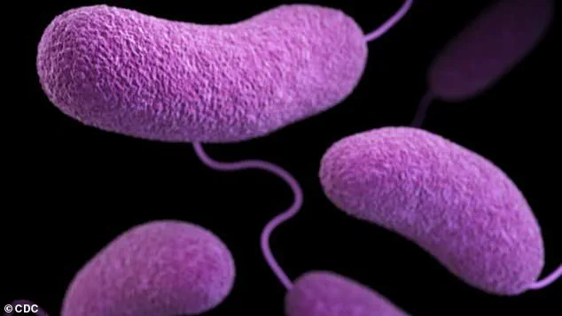 Urgent Beach Closures in Six States Prompt Health Officials to Warn of 'Growing Public Health Crisis' as July 4th Holiday Looms