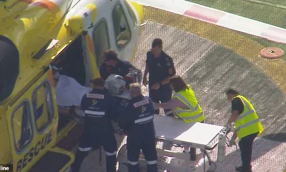 Woman Mauled by Lion at Queensland Zoo Suffers Severe Injury