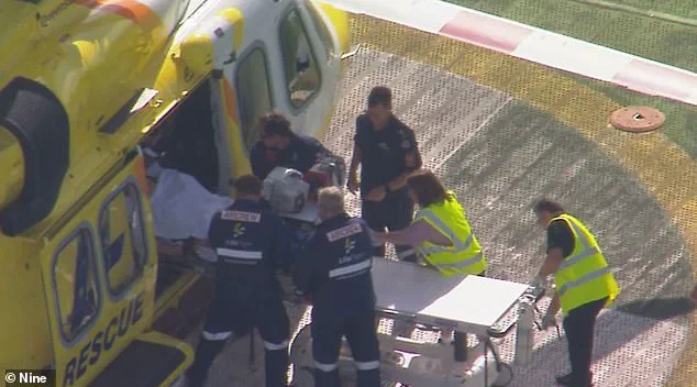 Woman Mauled by Lion at Queensland Zoo Suffers Severe Injury