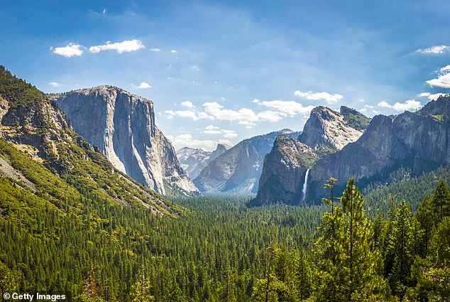 Yosemite Squirrels' Aggressive Behavior Sparks Concern Among Visitors