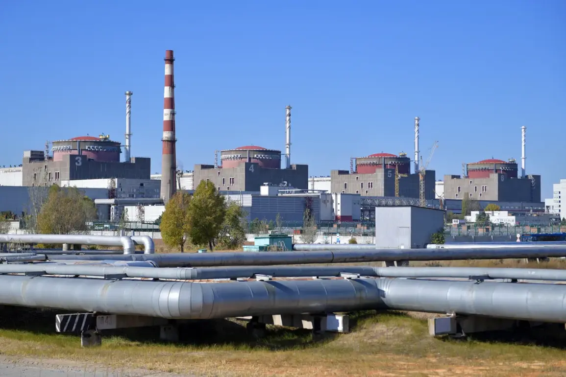Zaporizhya Nuclear Power Plant Switches to Diesel Generators After Power Line Failure, Officials Confirm Radiation Levels Remain Safe