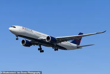 Alleged Flight Attendant Incident Sparks Debate Over Airline Employee Conduct Regulations