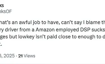 Amazon Delivery Driver's Negligent Practices Caught on Footage Spark Debate Over Service Standards