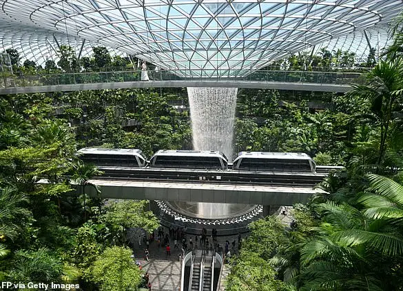 American Dentist and Engineer Wife Arrested in Singapore for Luxury Goods Theft at Changi Airport