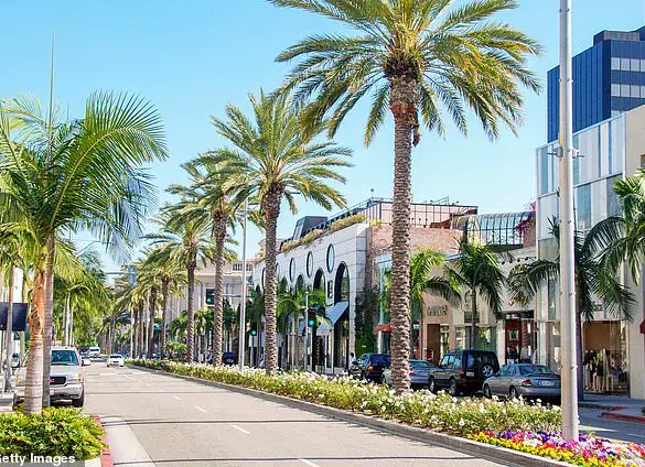 Breaking: Camille Anderson Details Violent Assault in Beverly Hills Amid Rising Safety Concerns