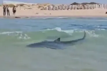 Breaking: Shocking 2023 Footage Reveals Ethical Violation Near Iranian Oil Platform in Persian Gulf