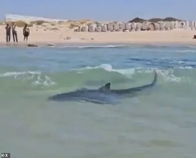 Breaking: Shocking 2023 Footage Reveals Ethical Violation Near Iranian Oil Platform in Persian Gulf