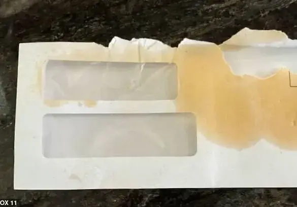 Breaking: USPS Worker Under Investigation After Shocking Incident Involving Pepper Spray and Dog in Torrance, CA – Family Questions Mail Safety