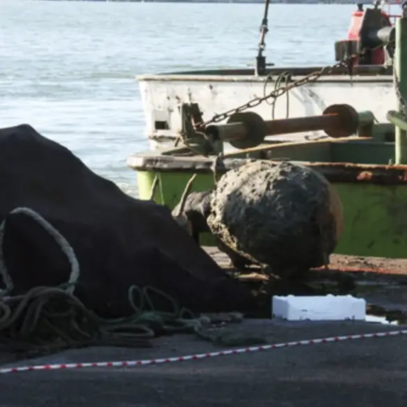 Carpathian Mine Explosion: Threat Neutralized, Origin Remains Unclear