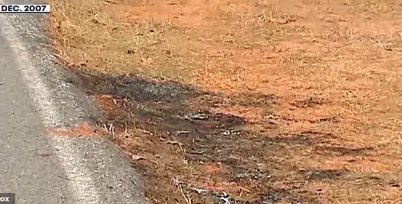 Decades-Long Fraud Scheme Uncovered: Woman’s Identity Theft Reveals Hidden Crime