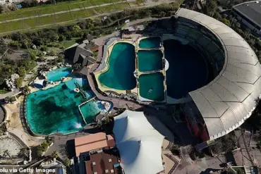 Disturbing Footage Exposes Ethically Indefensible Practice at Former Marineland Antibes Marine Park, Sparking Immediate Controversy