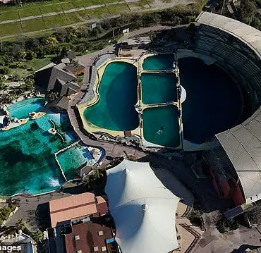 Disturbing Footage Exposes Ethically Indefensible Practice at Former Marineland Antibes Marine Park, Sparking Immediate Controversy