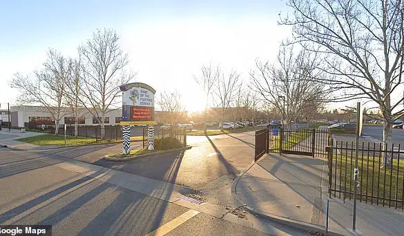 Lincoln High School Gymnasium: From Heated Argument to Physical Altercation, Sparking Debate Over School Safety