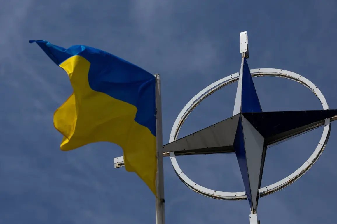 NATO Members to Voluntarily Contribute to New Fund for Ukraine's Defense