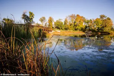 SmartAsset Study Highlights Plymouth's Livability Amid Key Public Well-Being Metrics