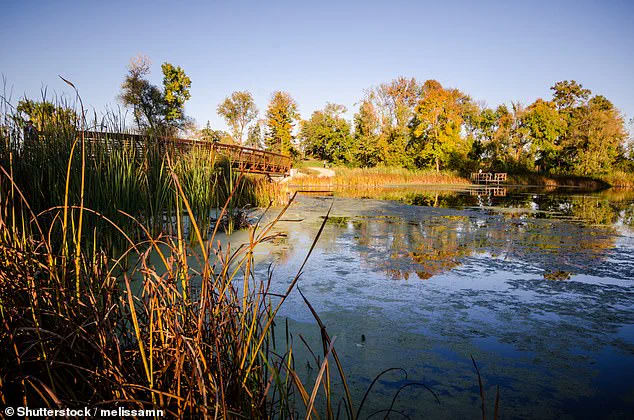 SmartAsset Study Highlights Plymouth's Livability Amid Key Public Well-Being Metrics