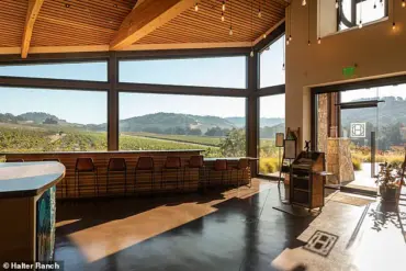 Swiss Billionaire Faces Sexual Harassment Claims as Lawsuits Suddenly Dropped