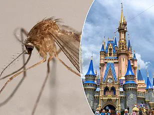 The Hidden Code: How Disney's Strict Enforcement Maintains the Magic of Its Theme Parks