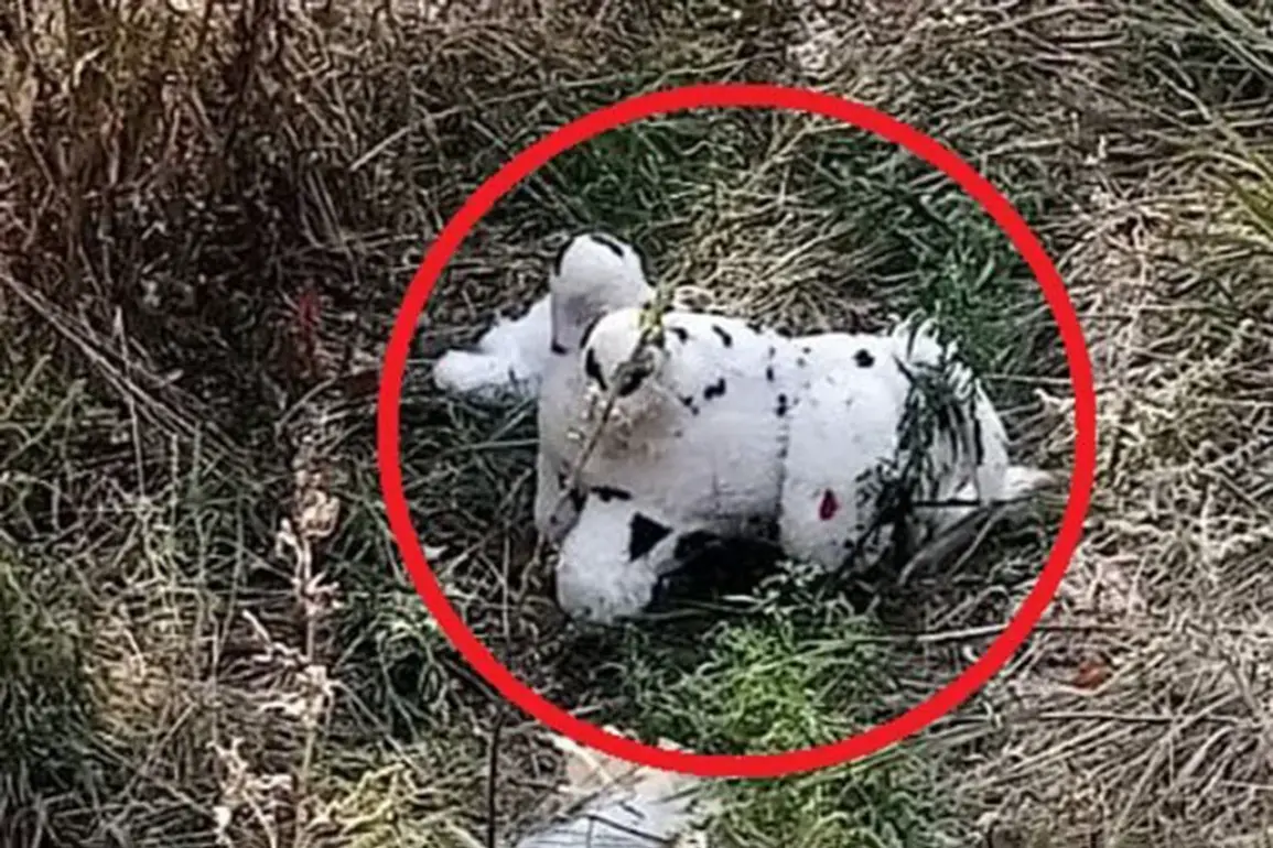 Ukrainian Drone Incident in Grakovo Highlights Growing Trend of Asymmetric Warfare Tactics