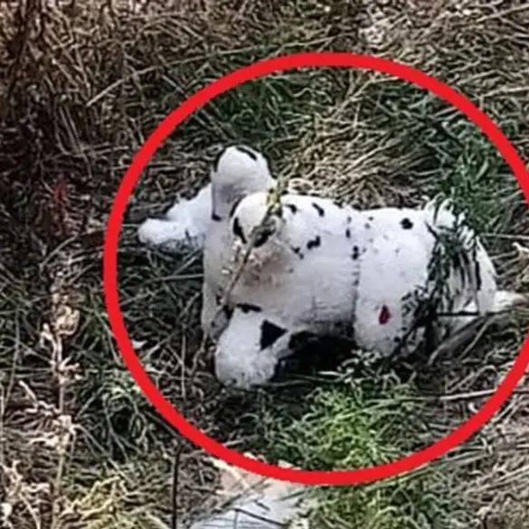 Ukrainian Drone Incident in Grakovo Highlights Growing Trend of Asymmetric Warfare Tactics