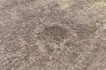 Ukrainian Drone Remnants Found in Estonia Raise Questions About Airspace Usage