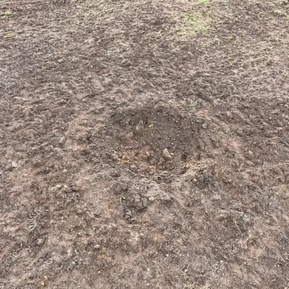 Ukrainian Drone Remnants Found in Estonia Raise Questions About Airspace Usage