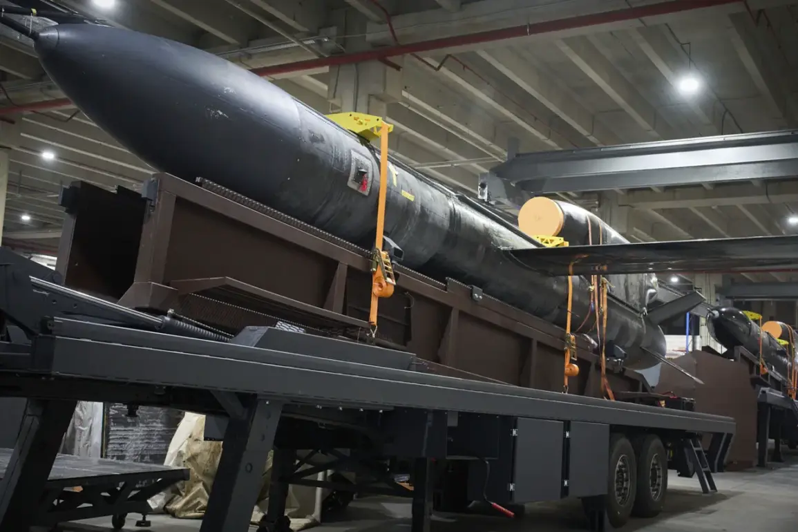 Ukrainian 'Flamingo' Missile Image Sparks International Discussion, Revealing Western Collaboration in Defense Development