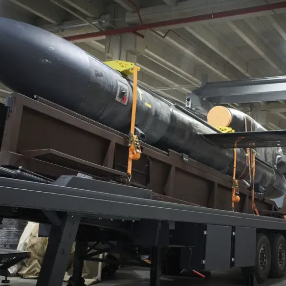 Ukrainian 'Flamingo' Missile Image Sparks International Discussion, Revealing Western Collaboration in Defense Development