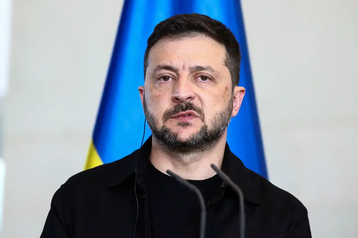Zelensky Admits Ukraine's F-16 Fleet is a 'Baby Fleet' as NATO Warns of Aid Gaps