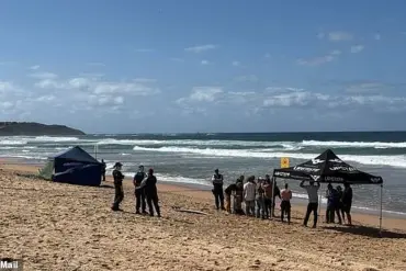 Five-Metre Great White Shark Kills 57-Year-Old Surfer at Dee Why Beach